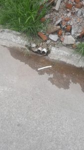 Repavimentacion Villa Carmela Primera Cuadra