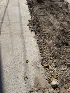 Repavimentacion Villa Carmela Primera Cuadra